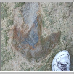 100_1141 (2009-07-29) mod.JPG